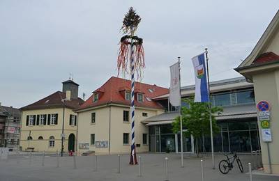 Kirchheim maibaum