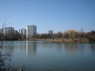 vogelstang in mannheim